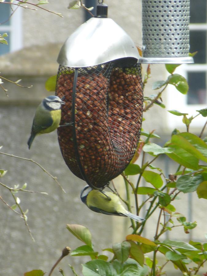 The Kenmore Guest House Llandudno Bagian luar foto